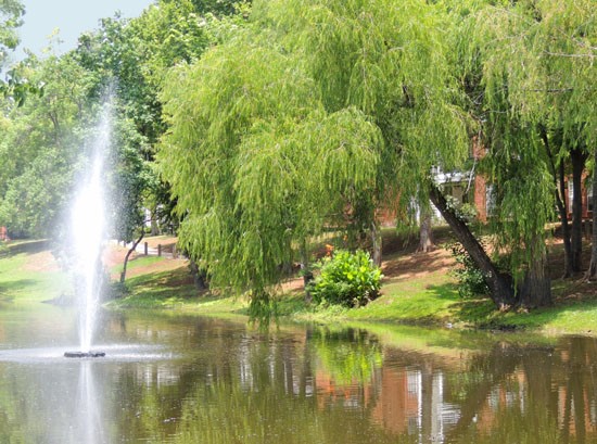 Willows at Wright Island Apartments Fountain